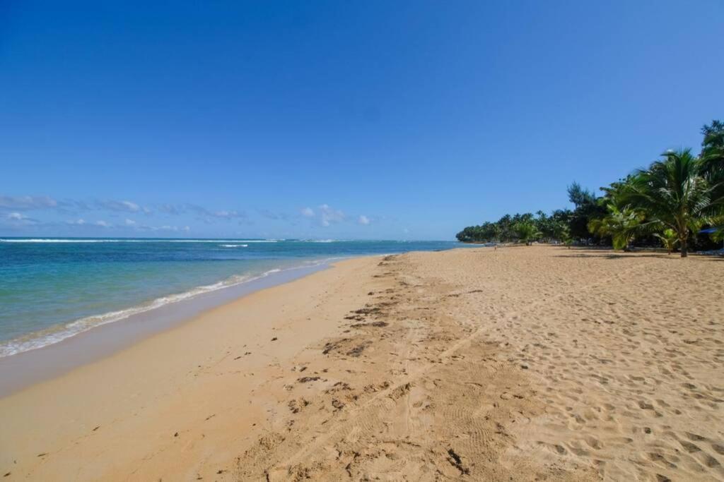Palmeraie Terrenas beach apartamento Las Terrenas Exterior foto